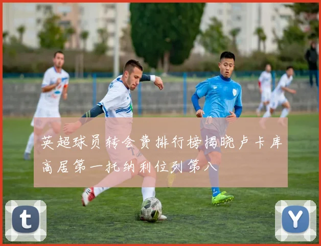 英超球员转会费排行榜揭晓卢卡库高居第一托纳利位列第八
